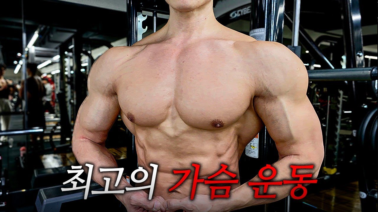 운동 12년동안 해보고 깨달은 프레임을 더 넓어보이게 만들어준 가슴운동 5가지
