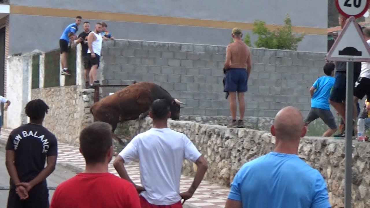 Peligro el Toro Salta el Muro Loranca de Tajuña (Guadalajara) 06 - 08 - 205 GuadaEncierros