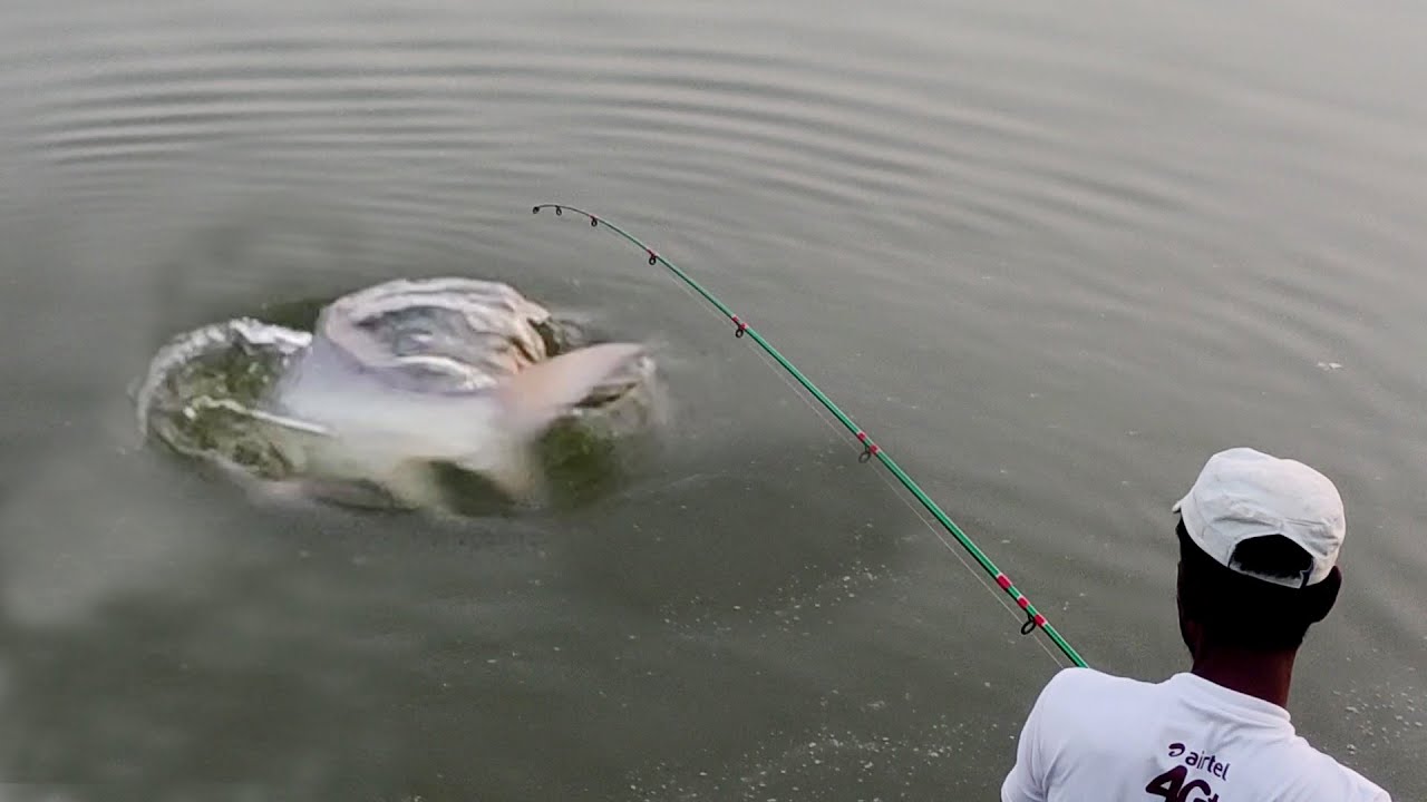 Look at the biggest monster Katla fish catching by hook | Katla Fish Hunting By Hook || hook fishing