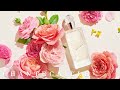 Darby Rose: The Ultimate Spring Fragrance