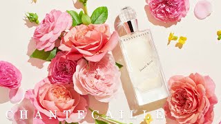 Darby Rose: The Ultimate Spring Fragrance