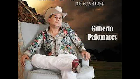 El Potro de Sinaloa - Gilberto Palomares