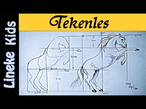 Video: Hoe Teken Je Een Steigerend Paard?