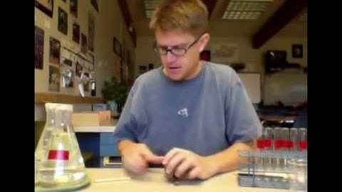 Osmosis Lab Walkthrough