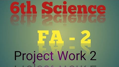 6th Science//FA2// Project Work 2