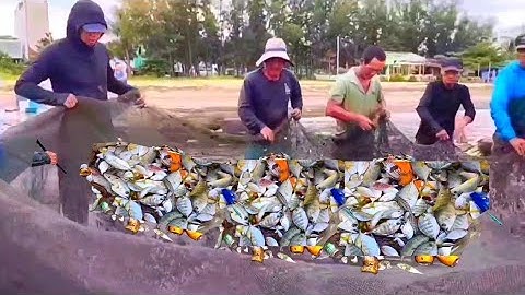 Bà Con Kéo Lưới Ở Biển Thanh Khê Đà Nẵng|MINH LÊ VLOG #146