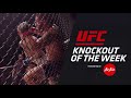 【UFC】今週のイチオシKO - ジャルジーニョ・ホーゼンストライク vs. アレン・クラウダー