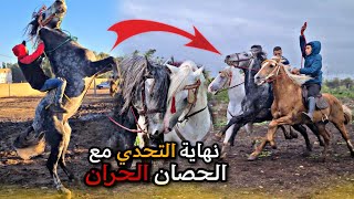 أخيرا اللحظة التي ينتظرها الجميع نهاية التحدي مع الحصان الخطير (حران ) . واش فنظركم عطا الراس ؟....