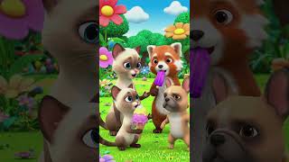 Funny Talking Animals 😂🐼 #shortsCute animals talking like humans #Naimish Kaushik
