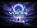 Voices (Original Mix) – DJ T-973 | Original Electronic Composition