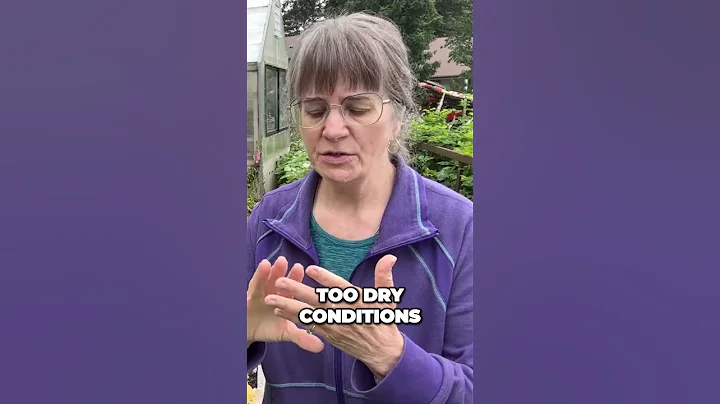 Are Your Plants BOLTING? Here's the Answer and Who Benefits