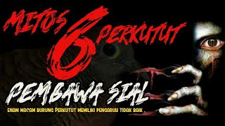 PERKUTUT YANG BERYONI 🤔💭| KISAH MISTERI PERKUTUT JAWA