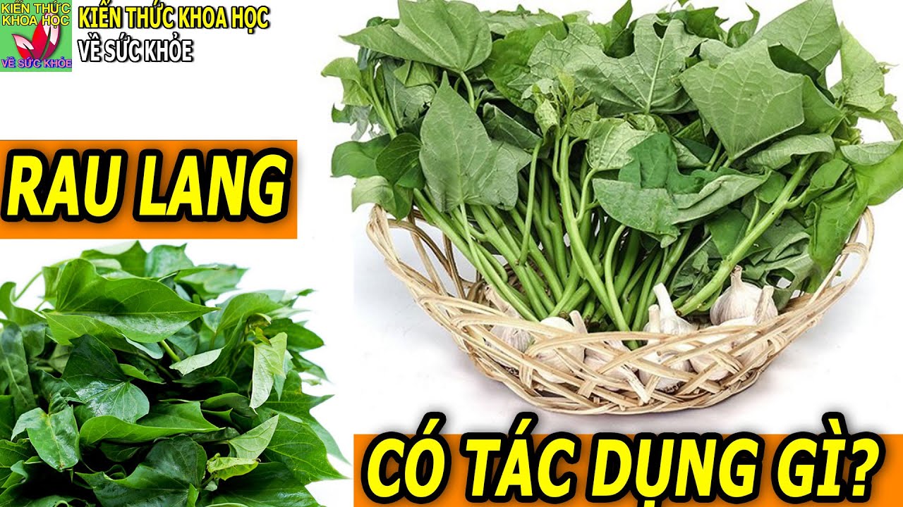 Rau lang có tác dụng gì? - YouTube