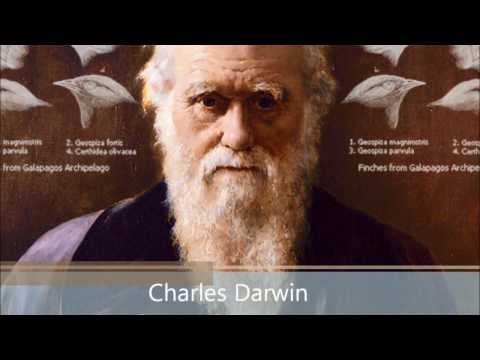 วีดีโอ: Charles Darwin ค้นพบอะไรในการเดินทาง 5 ปีบนเรือ Beagle?