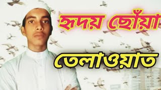 অবাক করা কন্ঠে কোরআন তেলাওয়াত করছেন হাফেজ মোঃ মাহিম হোসাইন অভি