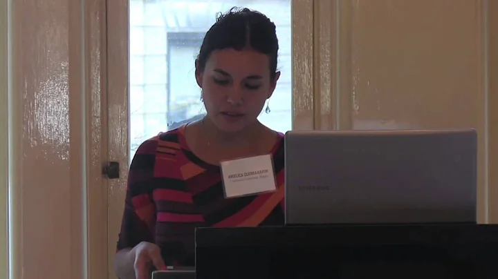 Panel II: Angelica Guerra-Baron