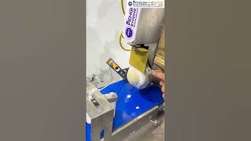 Automatic Roti Maker | Roti banane Machine | Chapati Maker #shortsfeed #shorts #ytshorts #trending