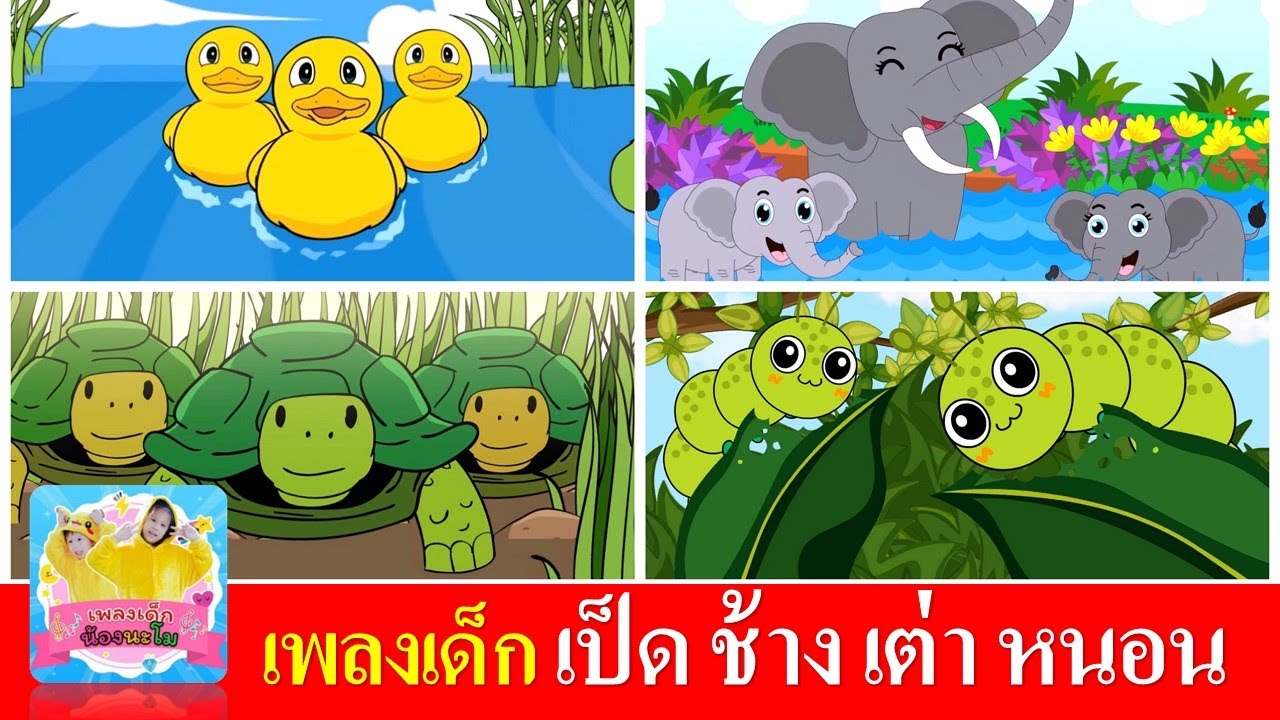 เพลงเด็ก เป็ดอาบน้ำในคลอง  ช้างช้างช้าง  เต่าเอ๋ยเต่า  หนอนต้วมเตี้ยม
