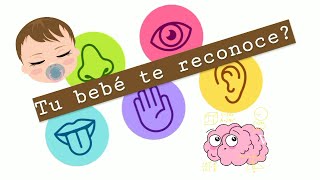 Tienen 4, 5 ó 6 Sentidos los Recién Nacidos?