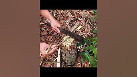 سورة تبارك هي المانعة من عذاب القبر