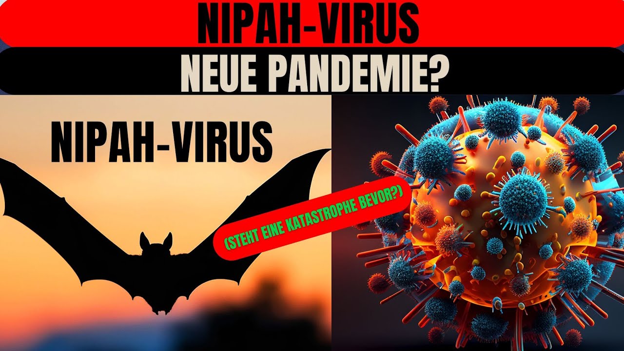 Nipah-Virus erklärt ⚠️ | Warum dieses tödliche Virus keine neue Pandemie ist