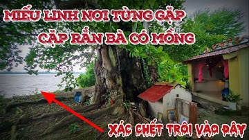 Ngôi miếu linh nằm cạnh cây bàng cổ thụ bị sét đánh cháy nữa thân là nơi ở của cặp rắn bà to lớn