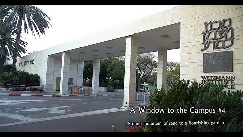 A Window to the Campus #4: From a Mountain of Sand to a Flourishing Garden