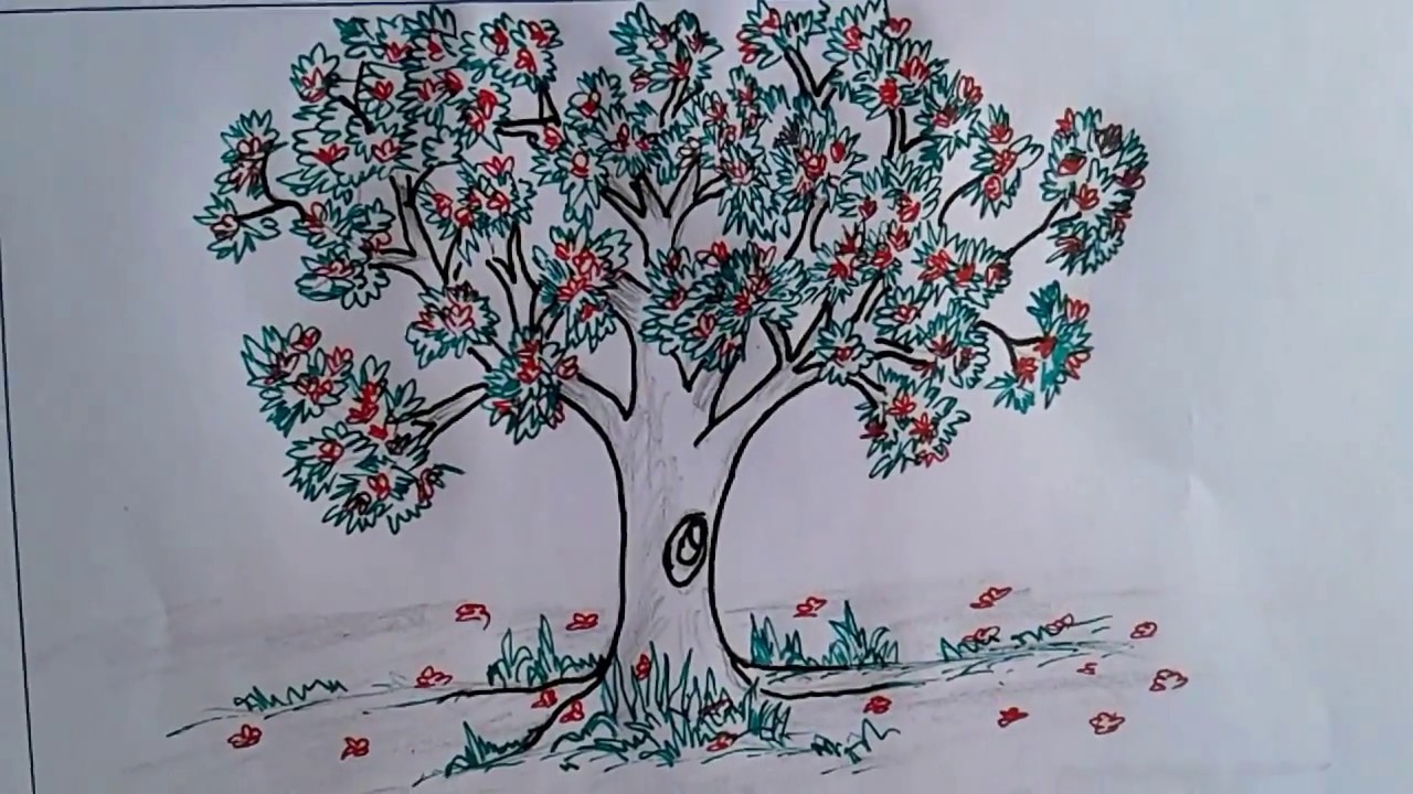 A drawing of a tree with pink flowers. Spring flower blossom. - PICRYL -  Public Domain Media Search Engine Public Domain Search