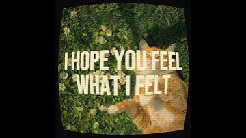 Thumbnail of #aesthetic #viral #liriklagu #trendingshorts #fypシ #music #song #cat