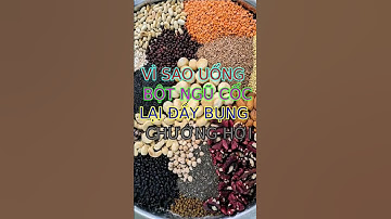 Vì sao uống bột Ngũ Cốc lại đầy bụng chướng hơi? | Bột ngũ cốc mầm Kim Hồng