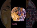 Cheevi Chinukeduthu Music Love Ilayaraja Song Ilayarajamelodyhits Cheevi Chinukeduthu Music Love Ilayaraja Song Ilayarajamelodyhits
