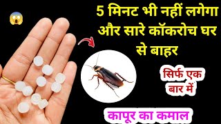 ना दवाई ना केमिकल घरेलू तरीके से भगाए कॉकरोच 😱 kitchen tips / kabad se jugad / cockroach killer