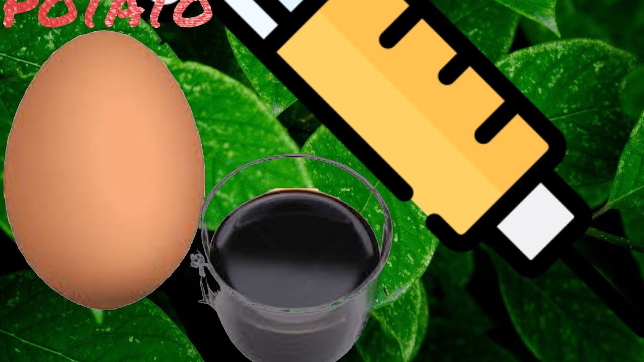 Berry bushes creatures of sonaria YouTube