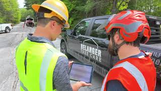 Ask the Maine Expert: Versant Power's Vegetation Management Program