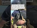 Cucciolo di cane viene salvato al largo della baia di San Francisco: era disperso da 12 giorni