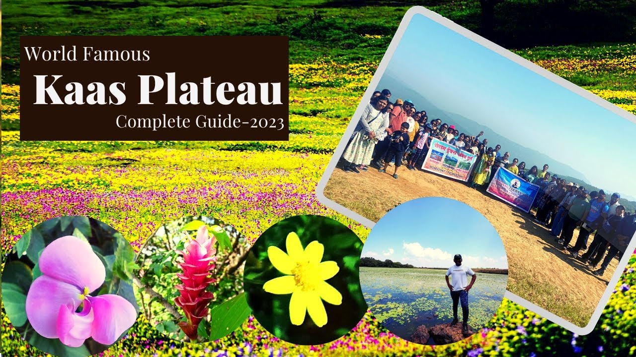 World Famous Kaas Plateau Complete Guide 2023 | कास पठाराची संपूर्ण माहिती 2023 | 