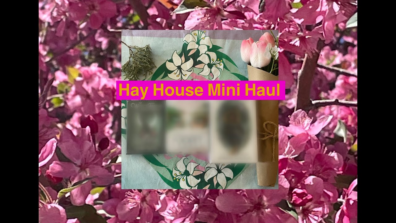 Mini Hay House Haul and Unboxing