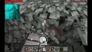 Exploring the pale oak