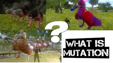 What is Mutation? How to do Mutation? In Ark Mobile,Mutation Series Ep-0