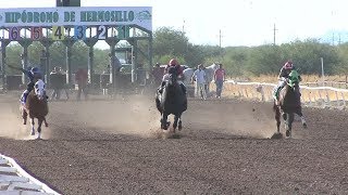 Carreras de Caballos en el Hipodromo de Hermosillo 12 de Noviembre 2017