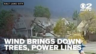 Doorbell camera shows moment wind brought down trees, power lines during Salt Lake storm