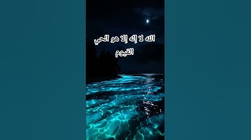 #اية_الكرسي #عبد_الرحمن_السديس #راحة_نفسية #قرآن #تلاوة_خاشعة #اكسبلور #foryou #pourtoi #duet