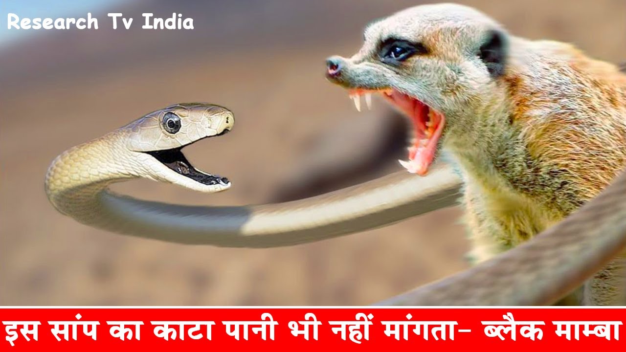 इस स प क क ट प न भ नह म गत