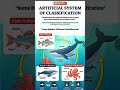 Artificial system of classification has several drawbacks ⚠️.