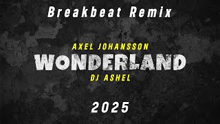 Dj Wonderland breakbeat Remix 2025 