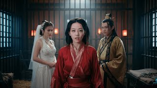 ابنة شرعية أيقظها نظام المودة، فاستعادت دهاءها لتقلب قدرها وتصعد لتصبح الإمبراطورة الشرعية