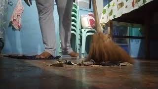 Video Demonstration of 5's of Good Housekeeping.