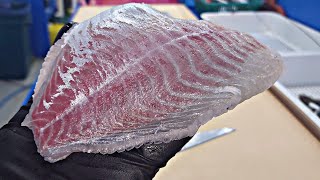 Delicious black sea bream sashimi, fish trimming, fish cutting, live fish