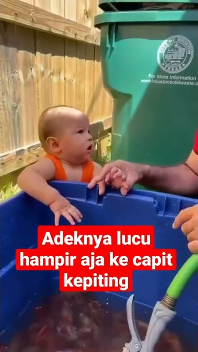 Adek kecil lucu Main kepiting, untung gak di capit liat aja lucu vidionya #anak #adeklucu #shorts