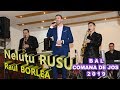 BAL COMĂNA DE JOS 2019 II Neluţu RUSU II Raul BORLEA II Oana BRĂTESCU